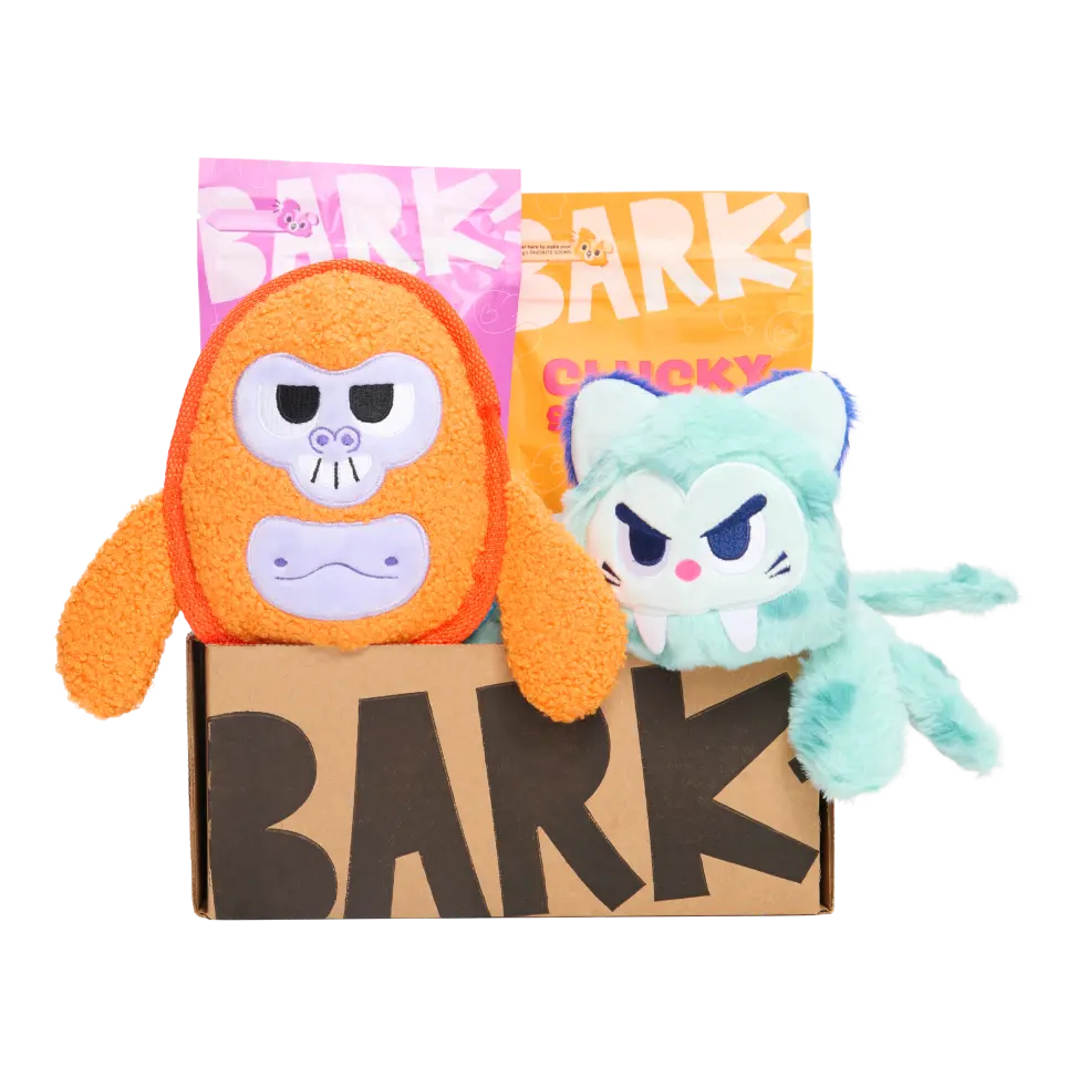 BarkBox Dog Subscription Box - 12 Month Plan