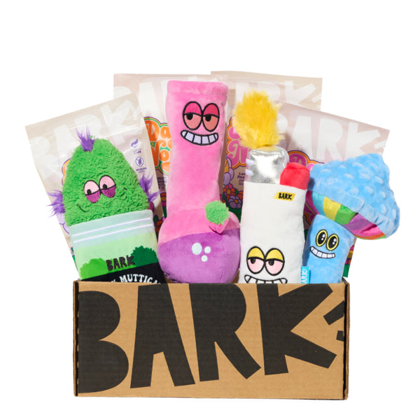BarkBox 12-Month Dog Subscription Box - Double Deluxe First Box