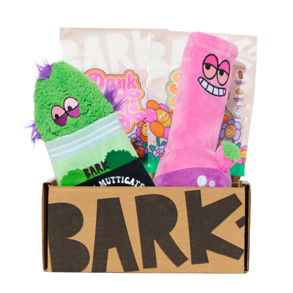 BarkBox 12-Month Dog Subscription Box - First Box for Pups