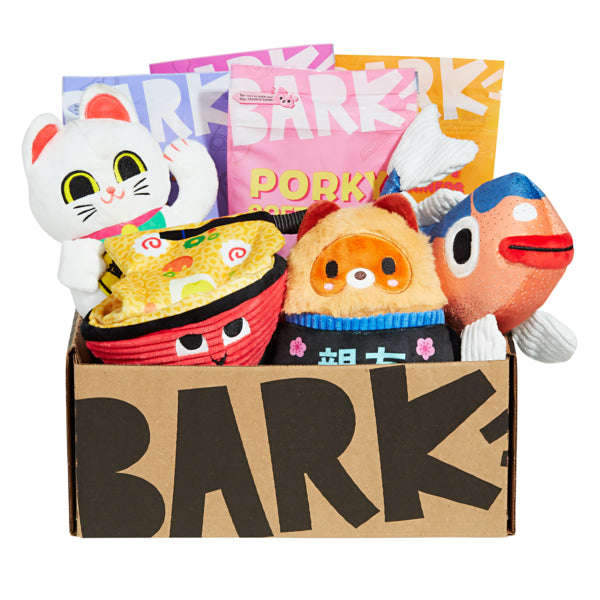 BarkBox 12-Month Dog Subscription Box with Extra Toys