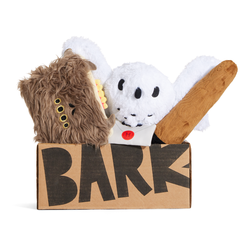 Harry Potter Themed BarkBox 12-Month Dog Subscription Box