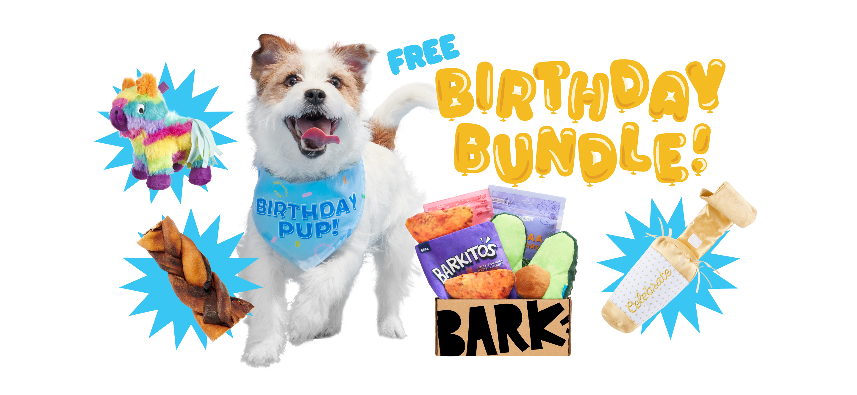 BarkBox Birthday Gift Bundle for Dogs – Fun Dog Toys & Treats