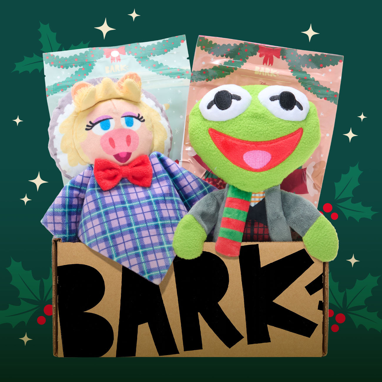 BarkBox Muppets Themed Dog Subscription Box - First Month