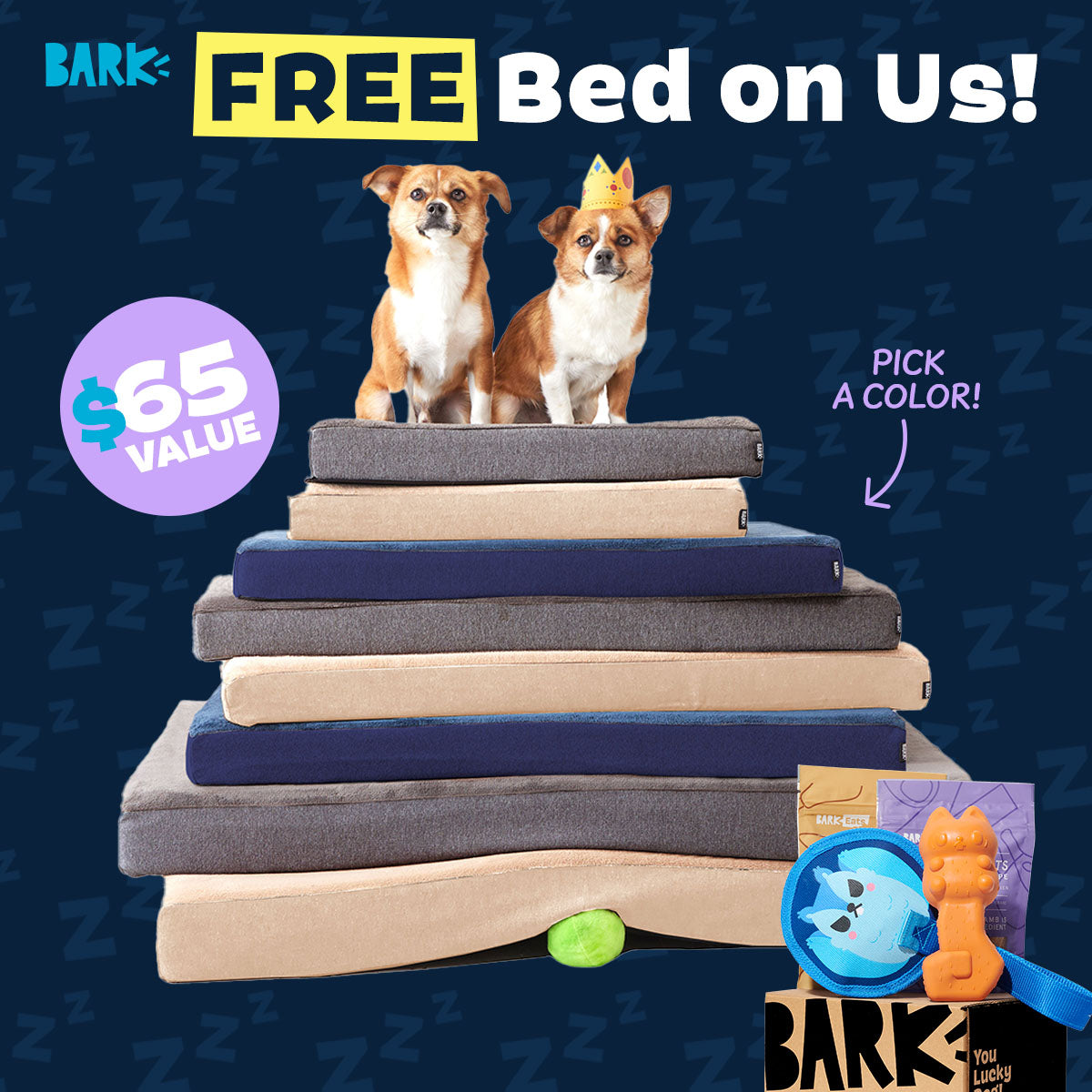 BarkBox 6-Month Dog Subscription with Platform Bed Gift