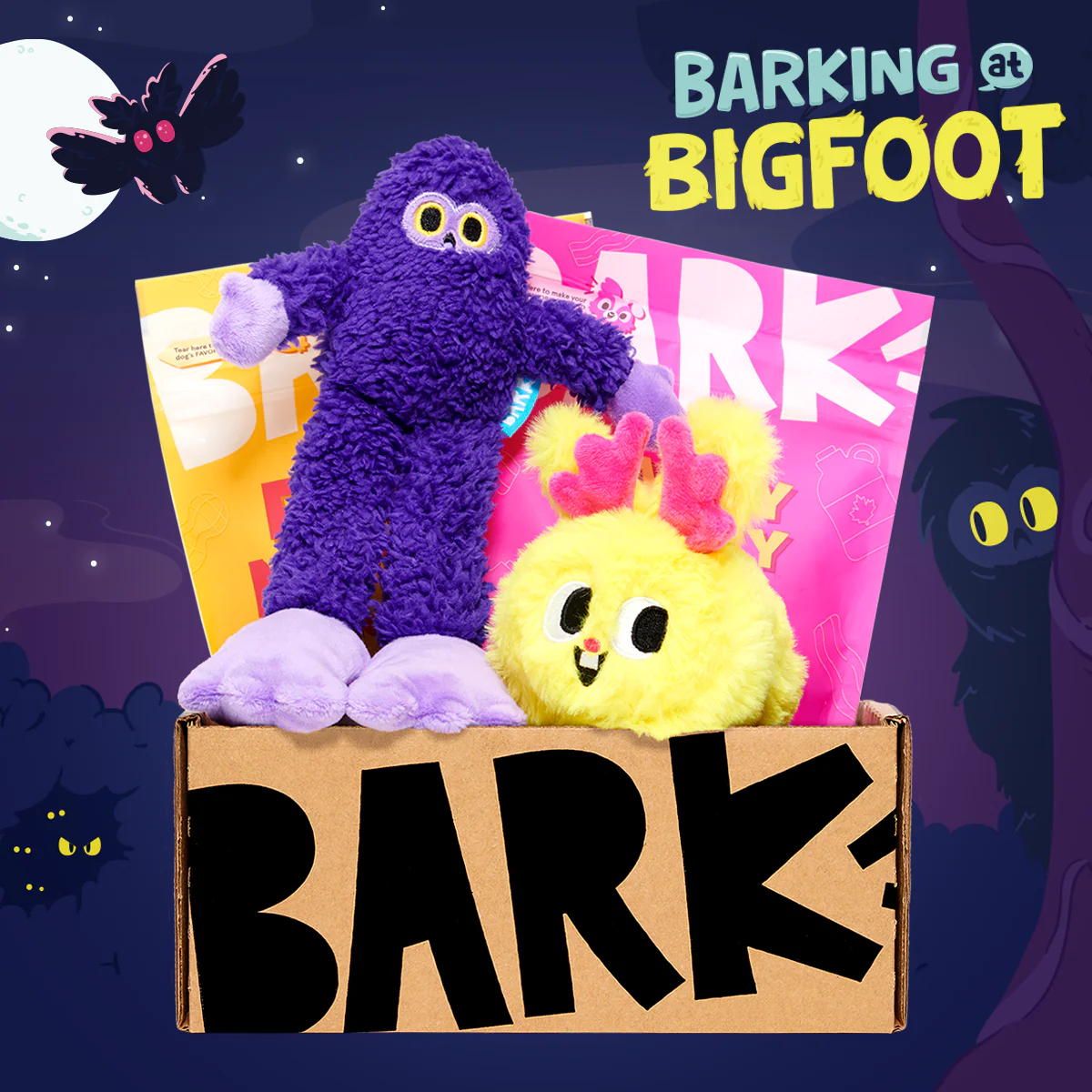 BarkBox 6-Month Dog Subscription with Splash Pad Gift