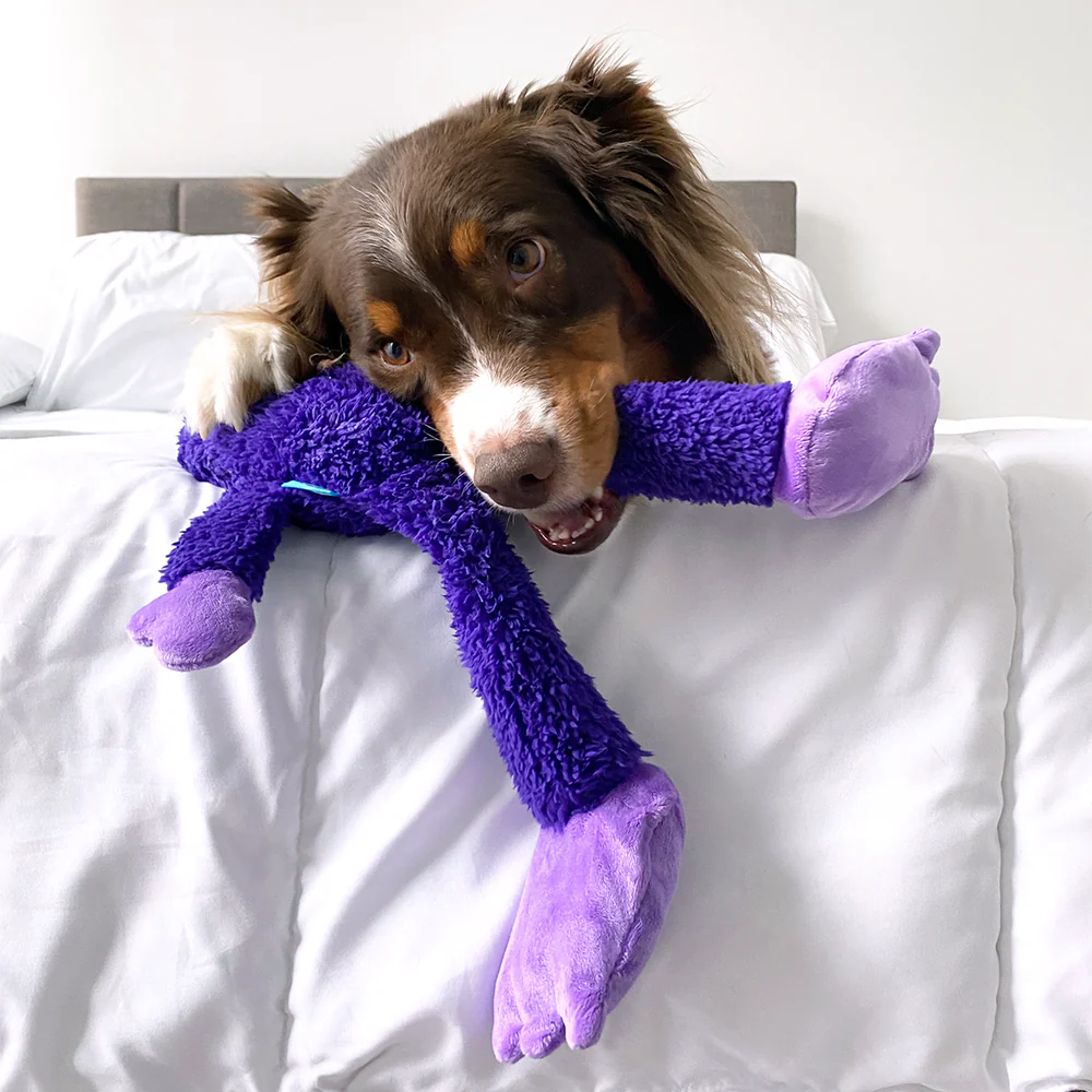 BarkBox 6-Month Dog Subscription with Splash Pad Gift