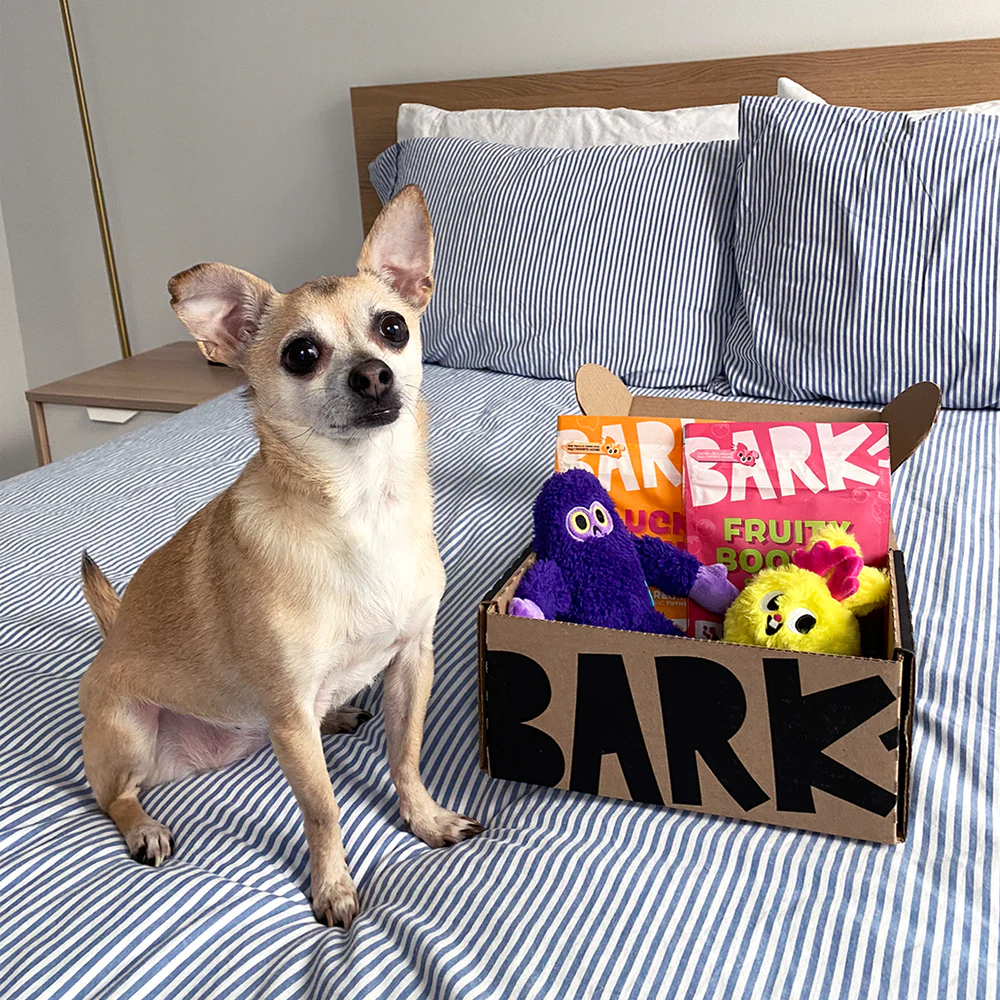 BarkBox 6-Month Dog Subscription with Splash Pad Gift