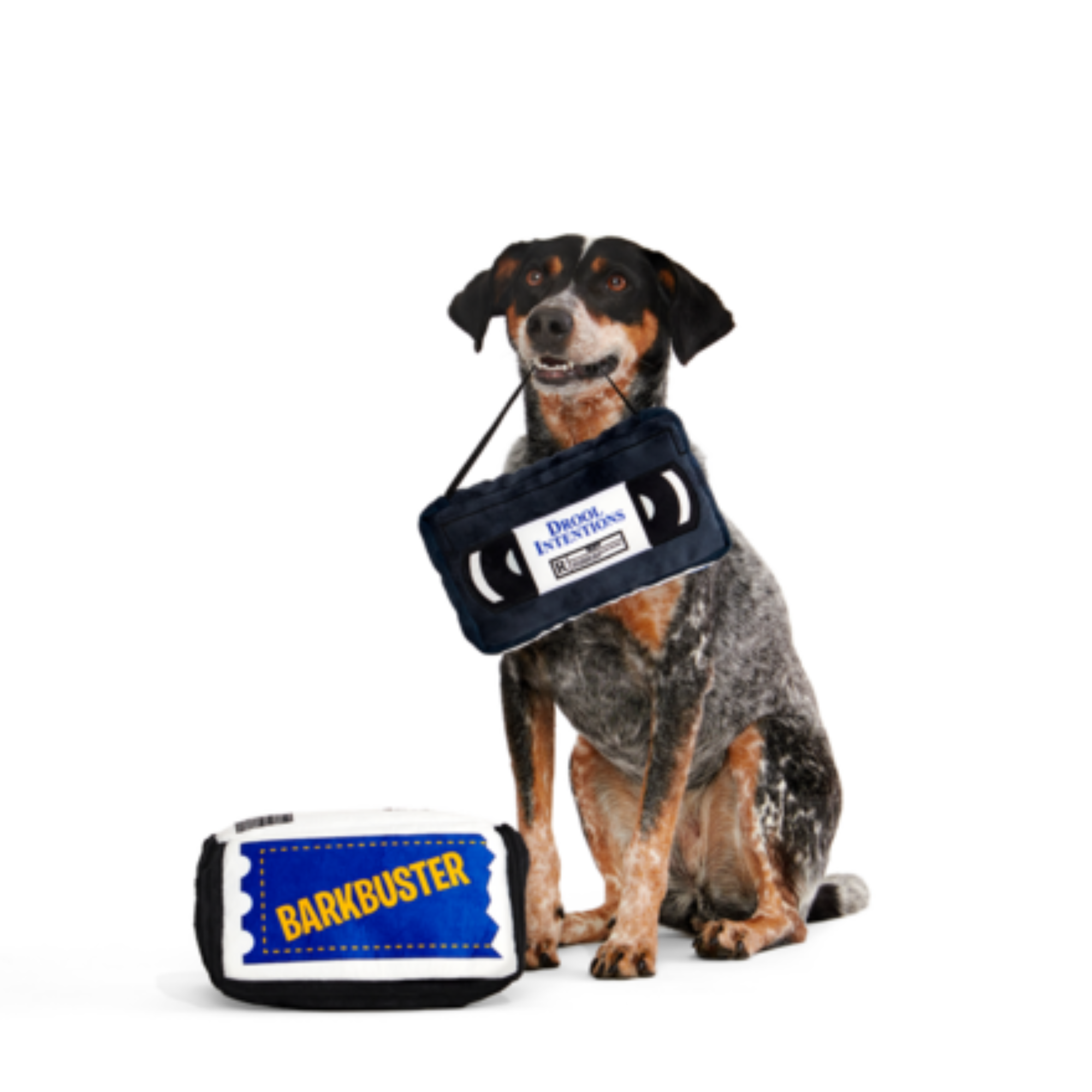 BARKBuster Squeaky VHS Dog Toy with Crinkle Case & Nylon Strap