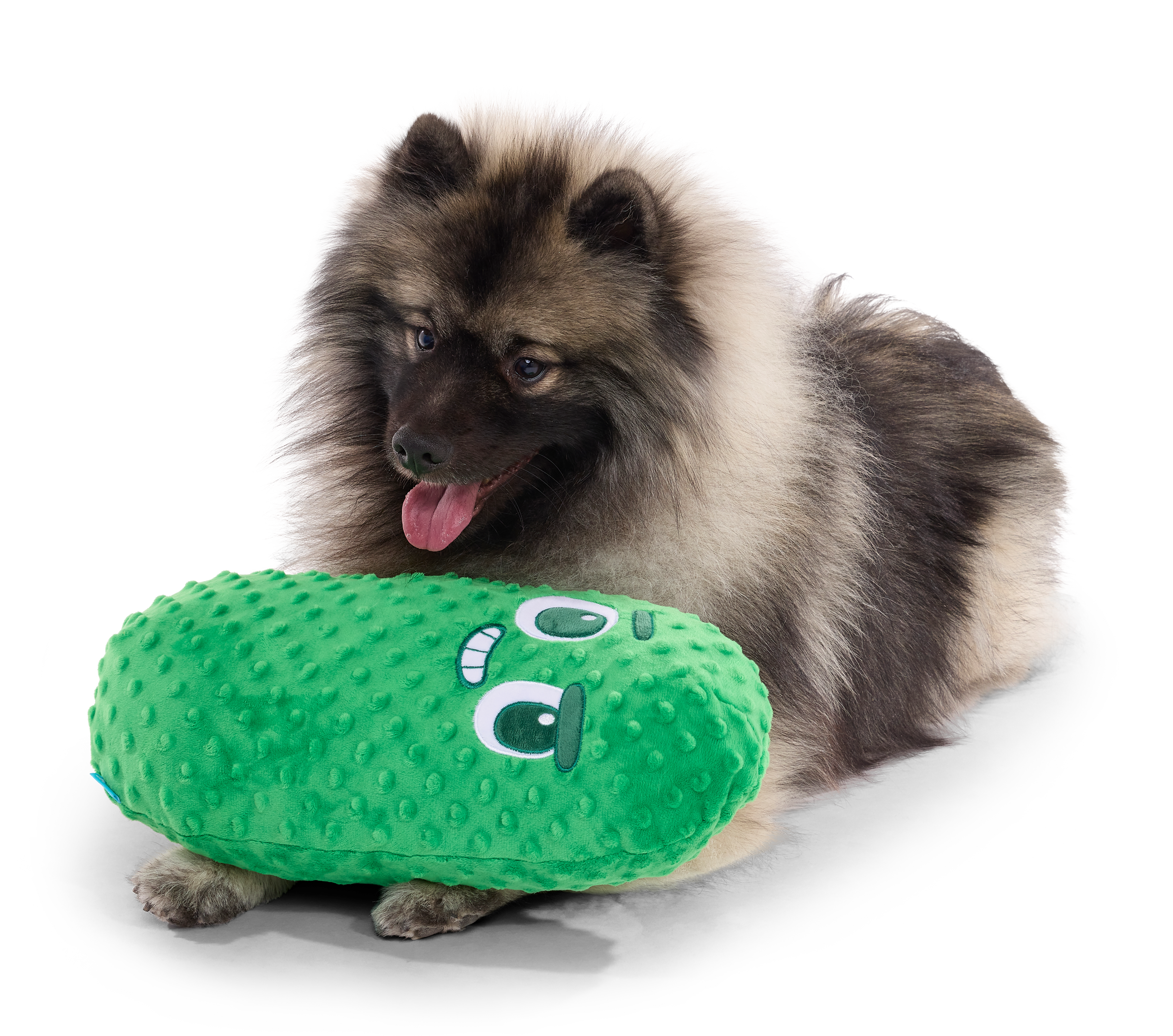 Big Dill Bill XL Crinkle Squeaker Dog Toy for Large Pups
