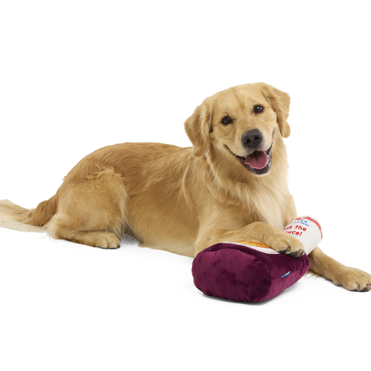 Big Dog BarkBQ Squeaky Crinkle Dog Toy with 2 Squeakers