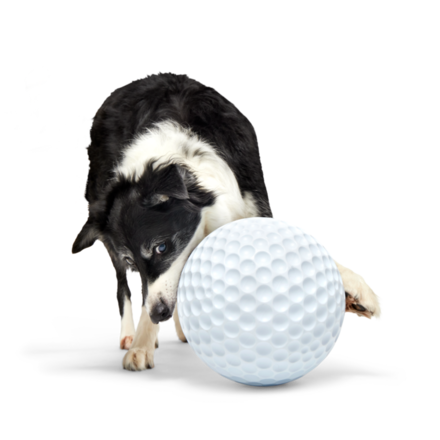 Extra Large Wobbly Golf Ball Toy for Dogs – Big Swing