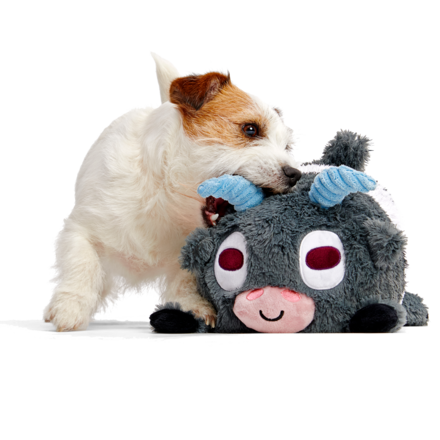 Billy the Kid Crinkle Squeaker Dog Toy with Surprise Inside