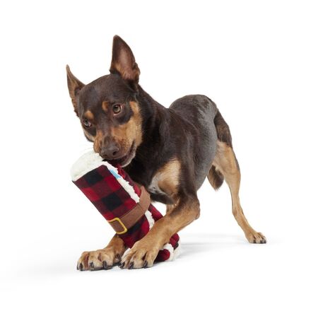 BARK Hygge Snuggler Blanket & Chompfire Dog Toy Bundle