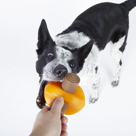 BARK Hygge Snuggler Blanket & Chompfire Dog Toy Bundle