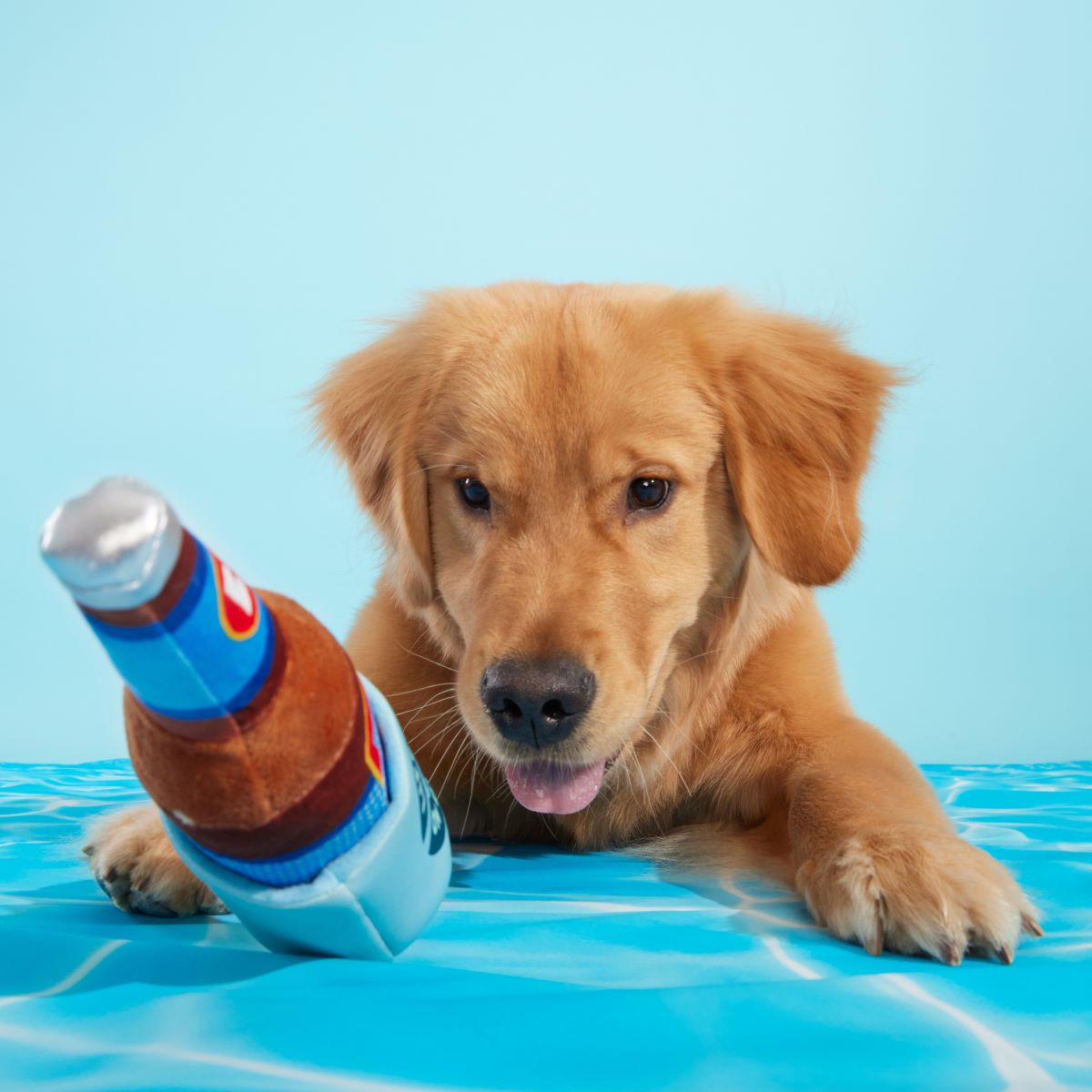 Boozy Doody Dog Toy with Squeaker & Crinkle Koozie for Treats