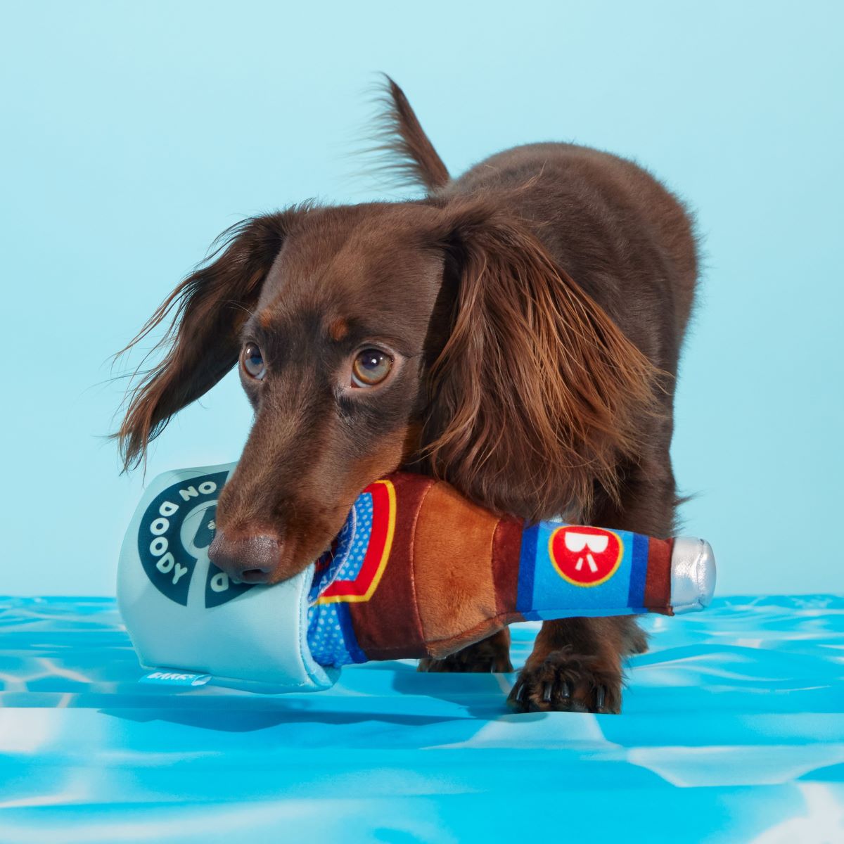 Boozy Doody Dog Toy with Squeaker & Crinkle Koozie for Treats