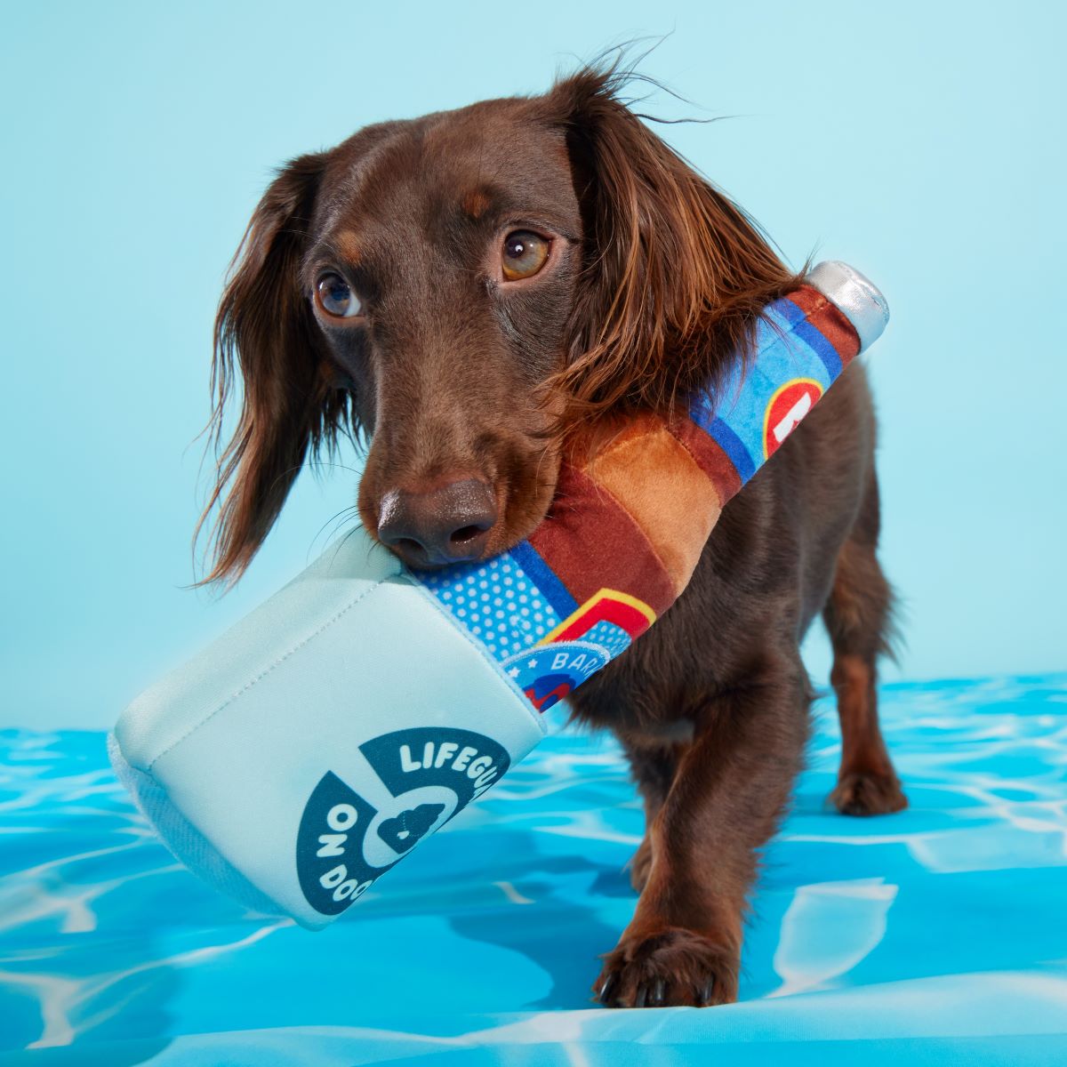 Boozy Doody Dog Toy with Squeaker & Crinkle Koozie for Treats