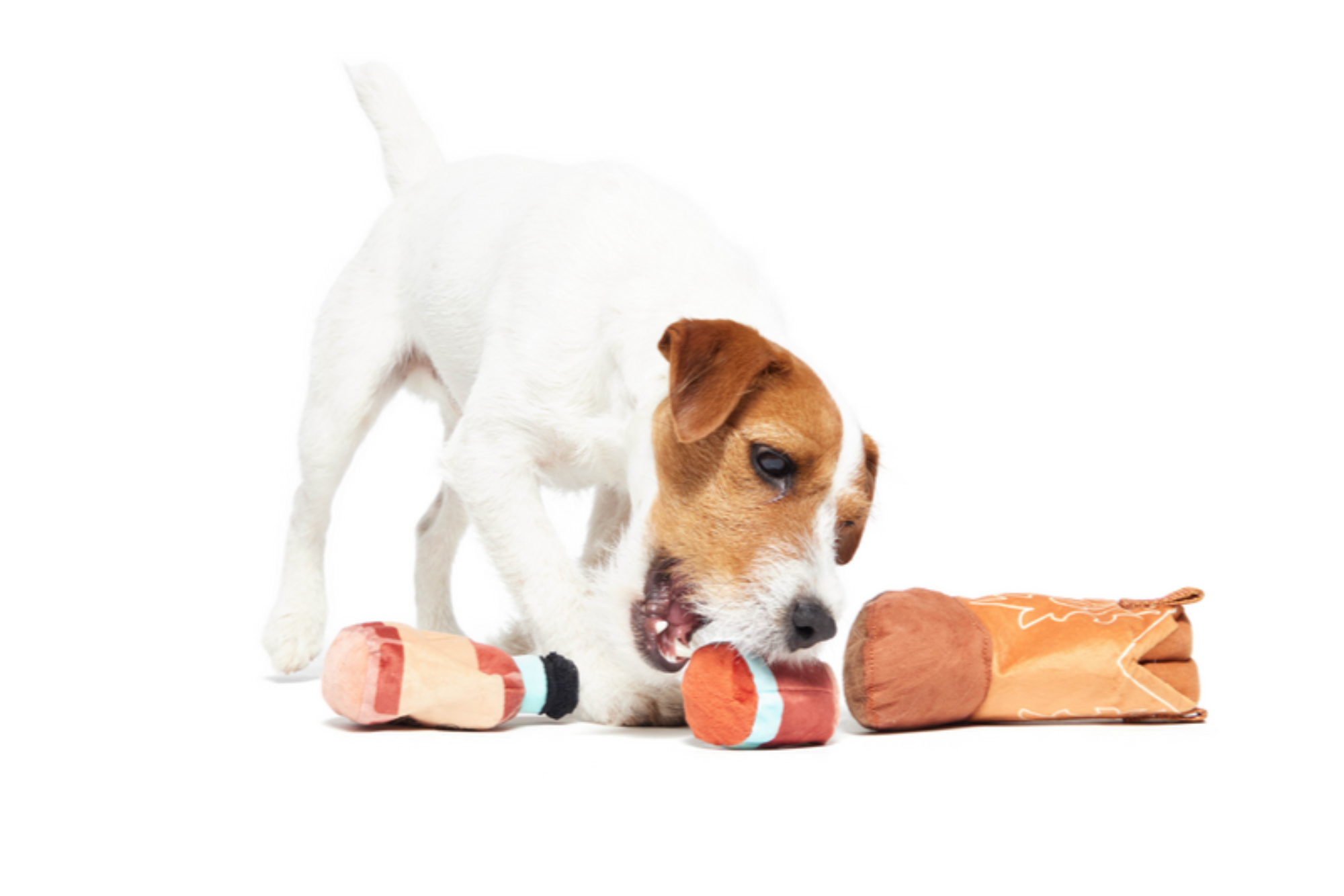 Bottoms Up Boot Dog Toy with Squeaker & Crinkle
