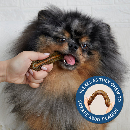 Durable Dog Dental Kit for Fresh Breath & Clean Teeth
