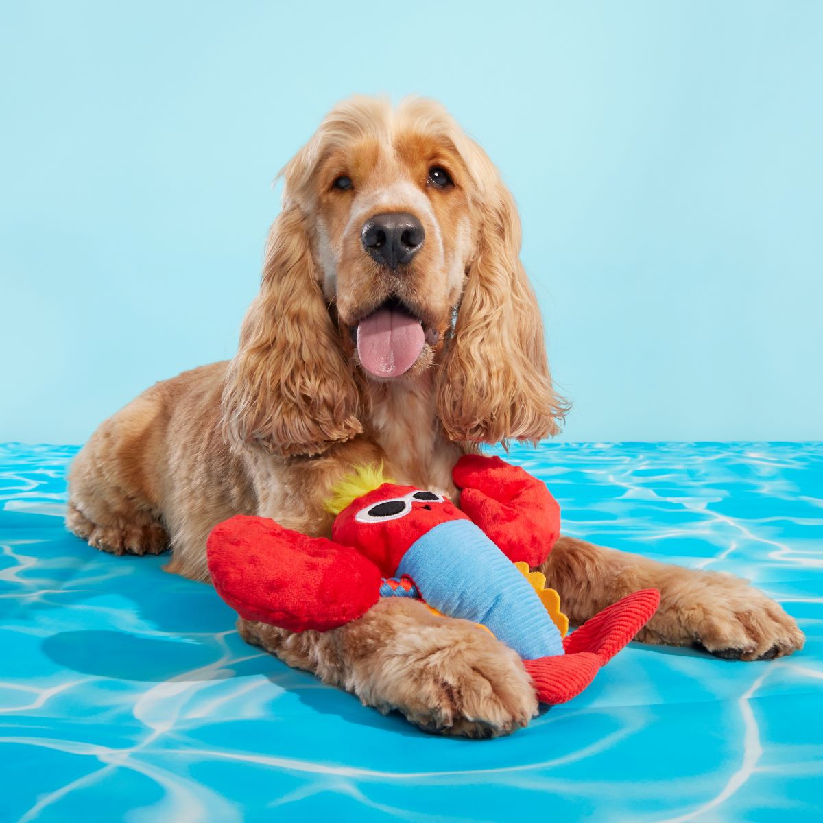 Brock Lobster Dog Toy with Squeaker & Crinkle