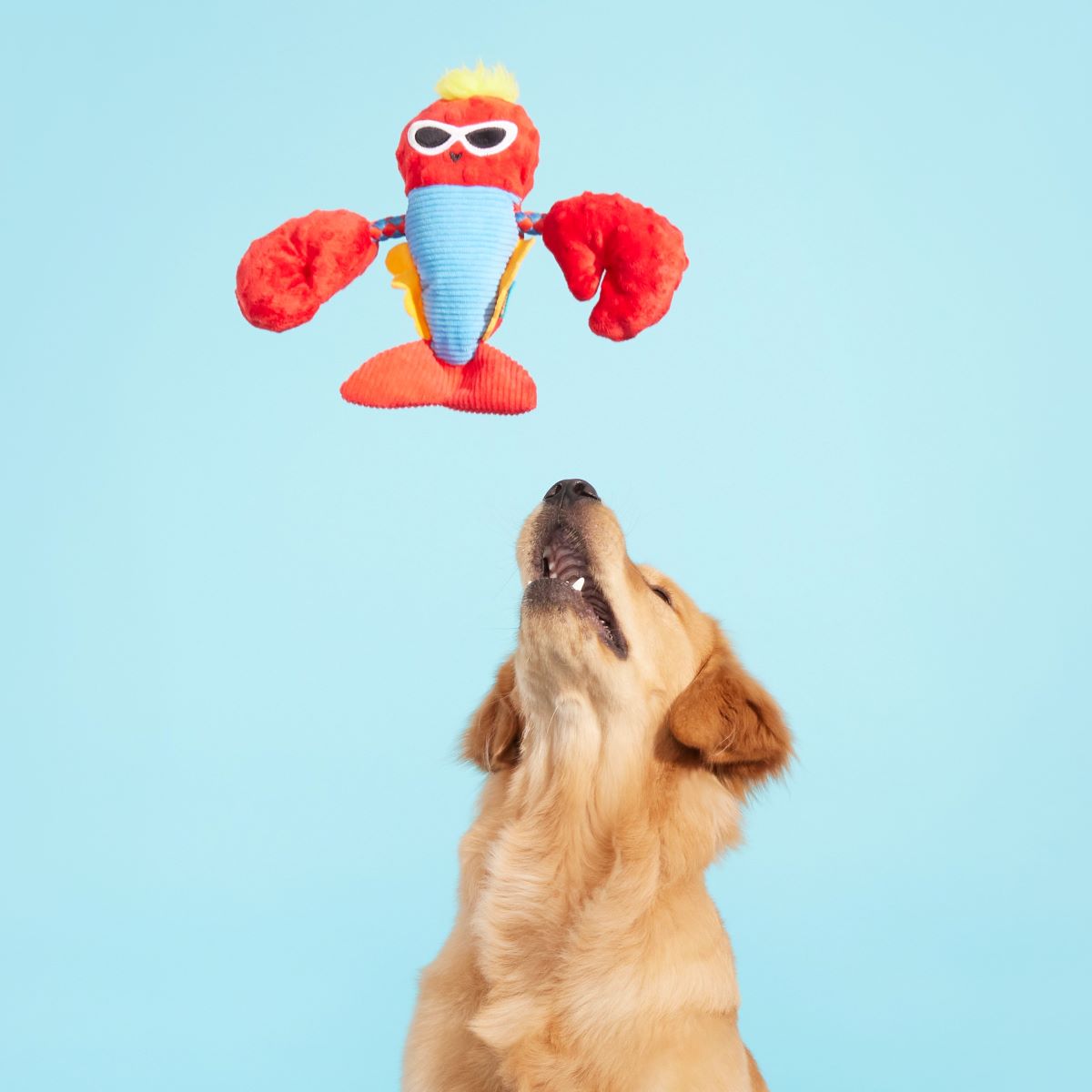 Brock Lobster Dog Toy with Squeaker & Crinkle
