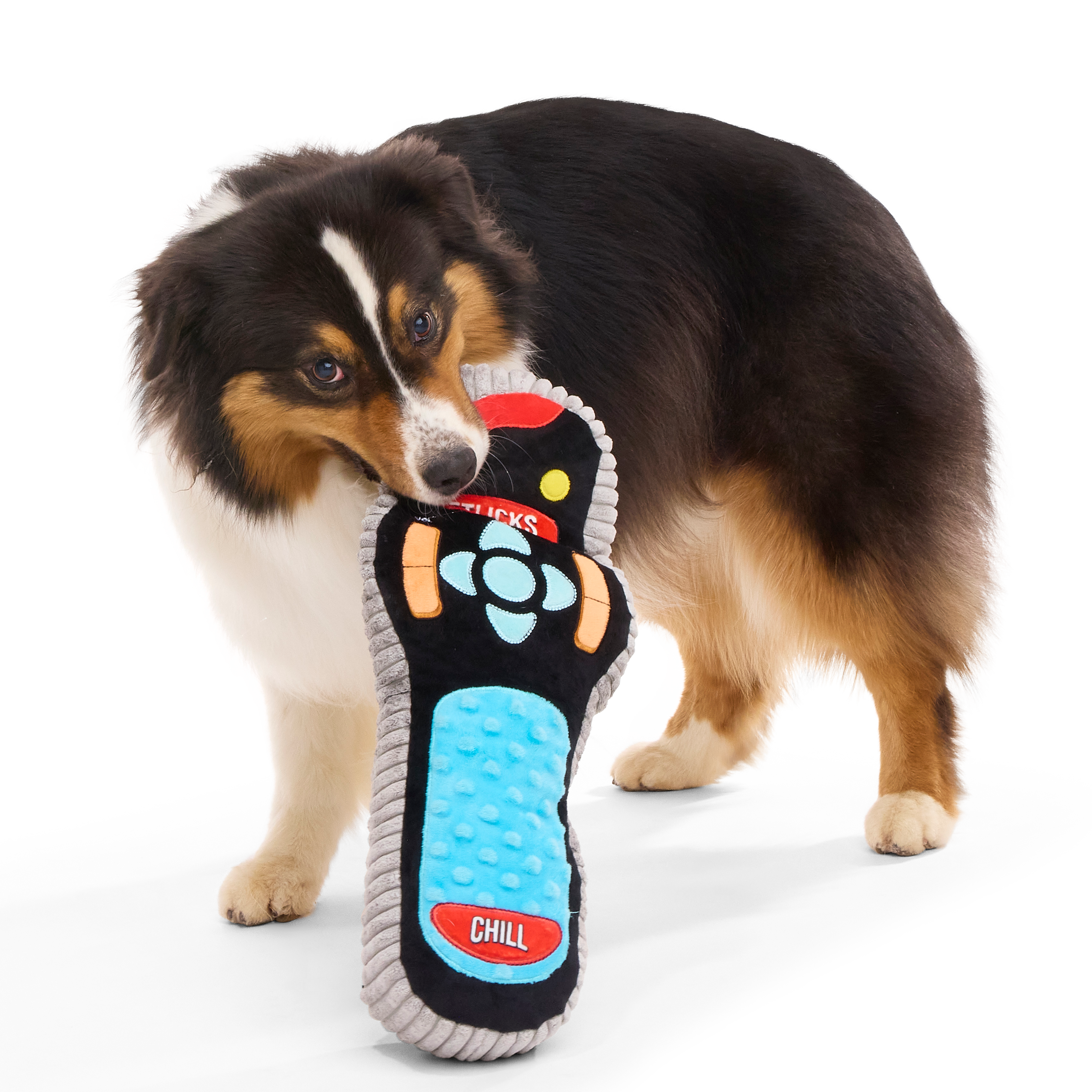 Chewniversal Remote Dog Toy with 2 Squeakers for Playful Pups