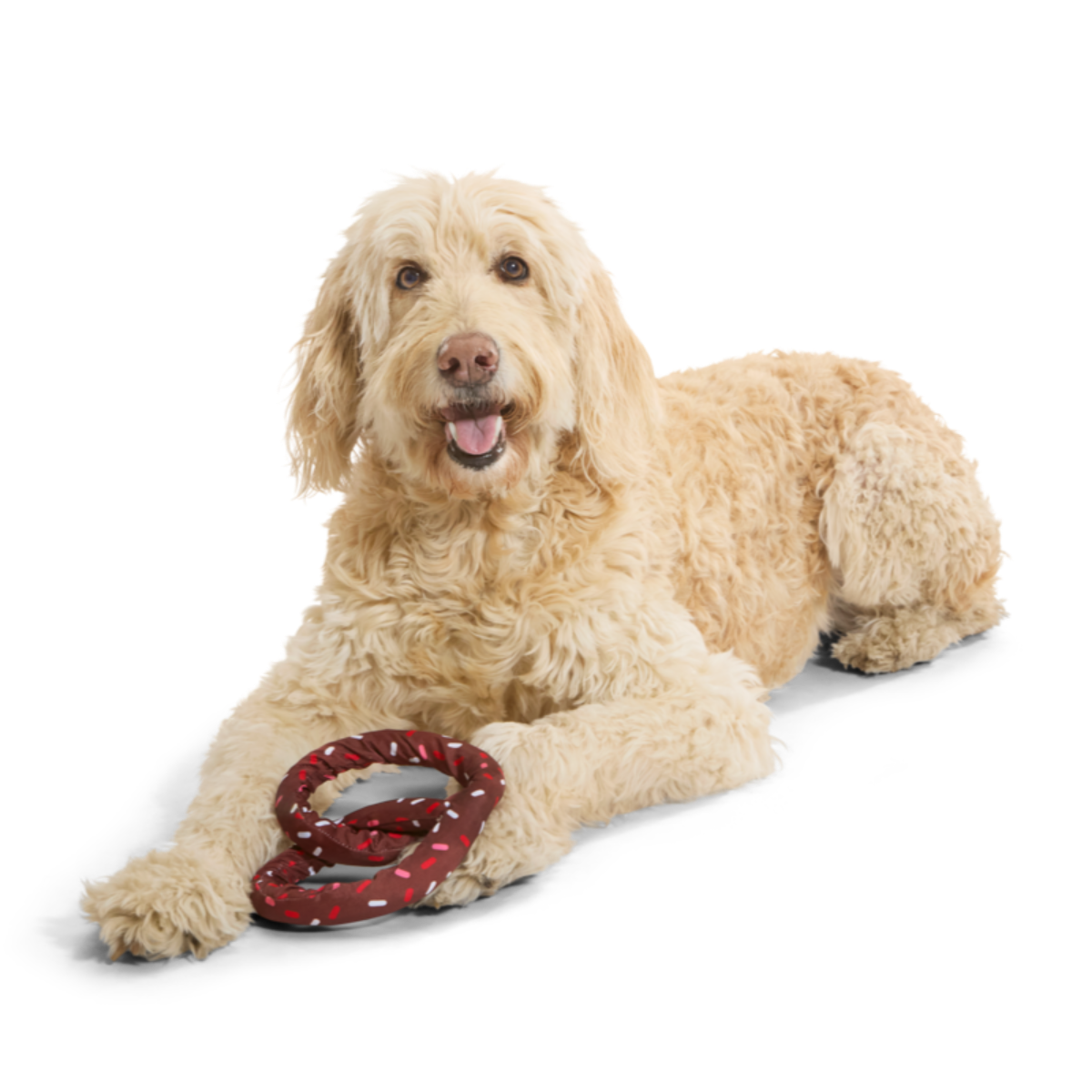Durable Pretzel Dog Toy for Tug-of-War – Chocolick