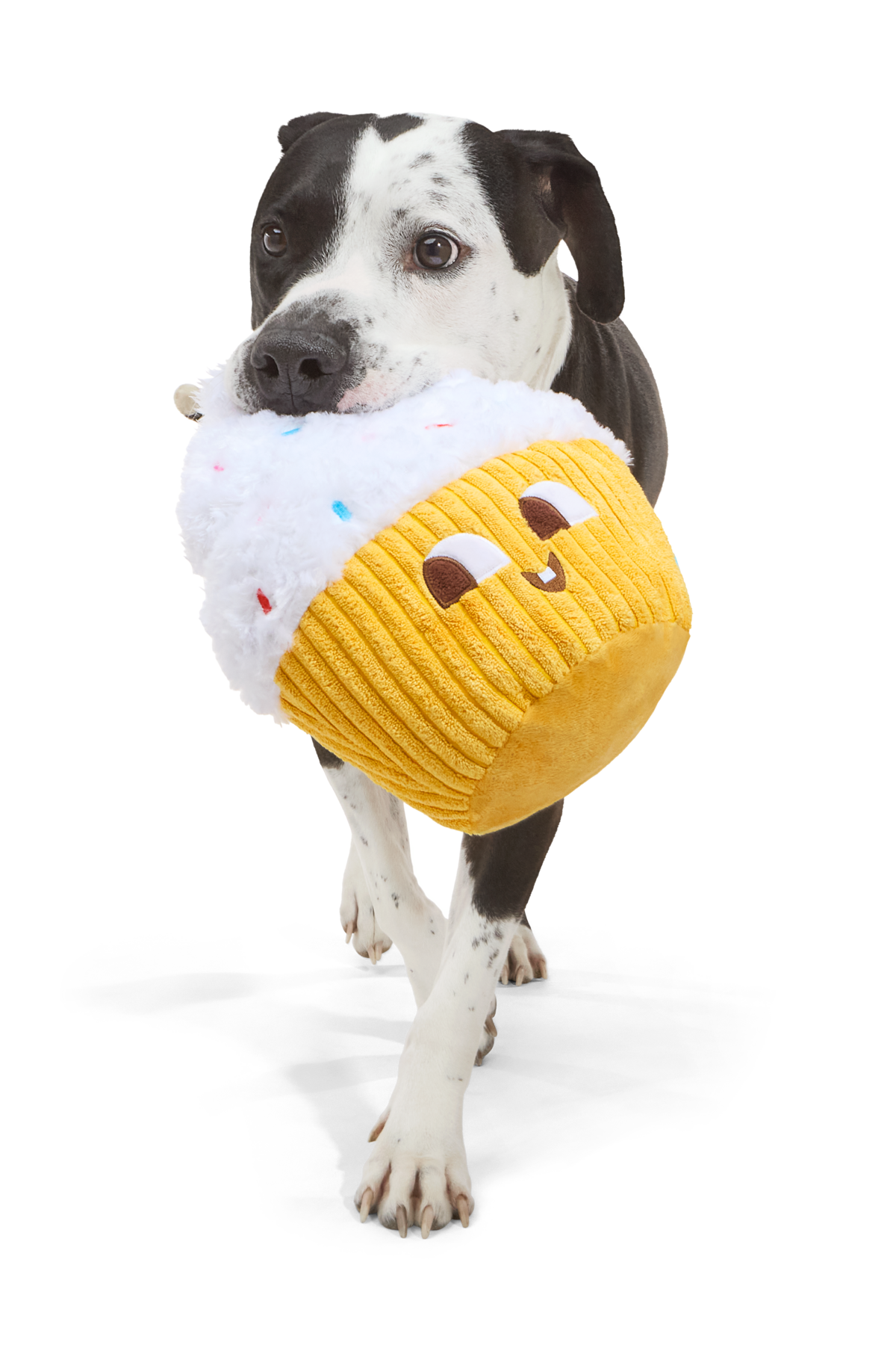Extra Large Dog Toy Cupcake - Colossal Cup Kate with Squeaker & Crinkle