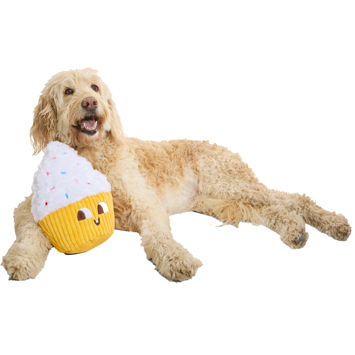 Extra Large Dog Toy Cupcake - Colossal Cup Kate with Squeaker & Crinkle