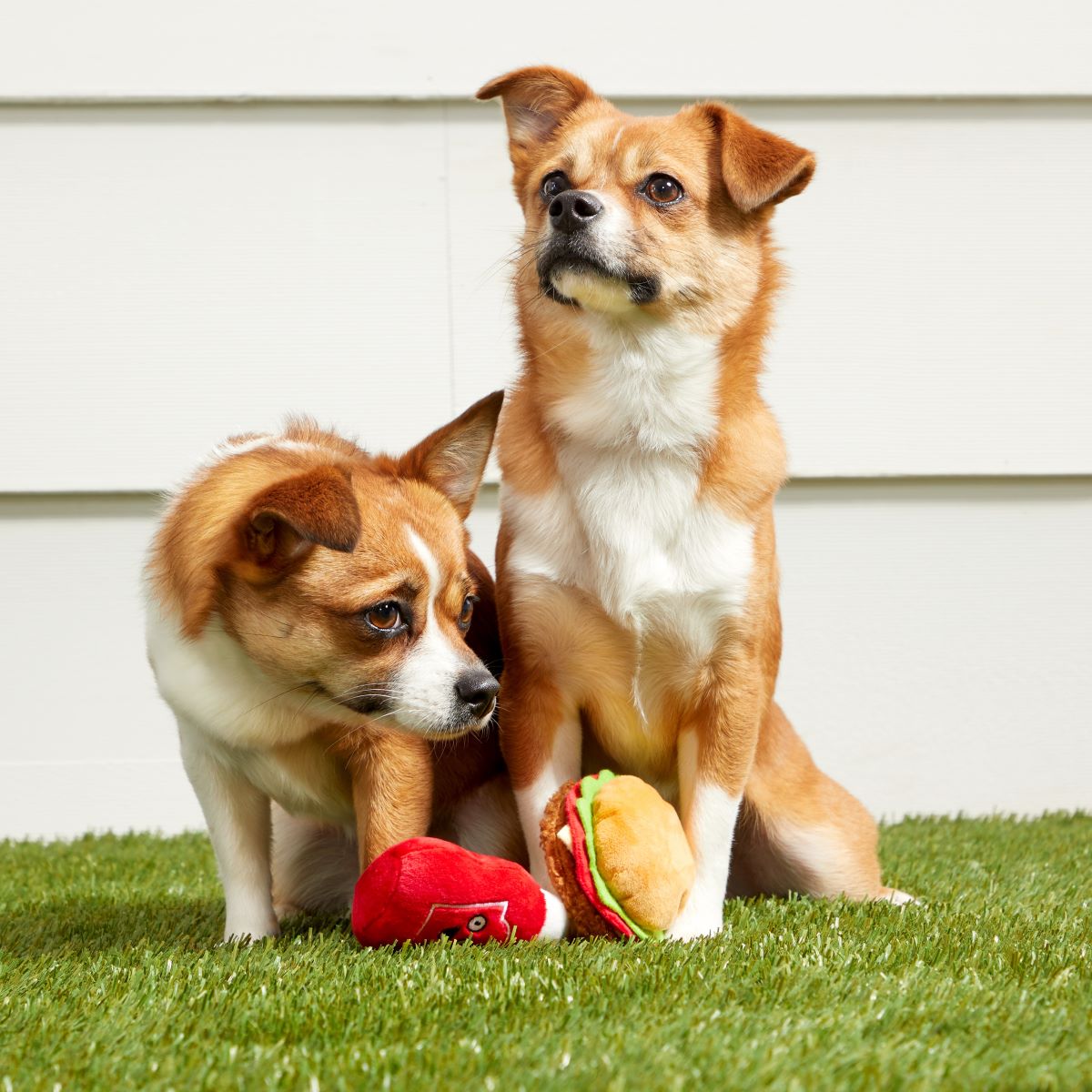 Squeaky Burger and Ketchup Dog Toys for Small Dogs