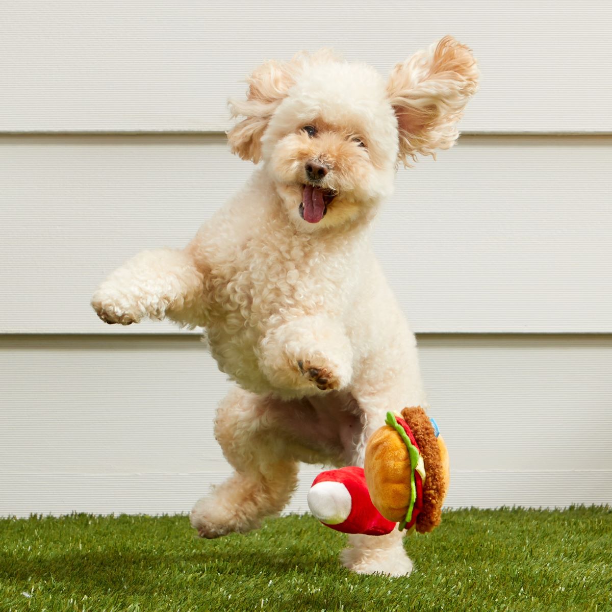 Squeaky Burger and Ketchup Dog Toys for Small Dogs