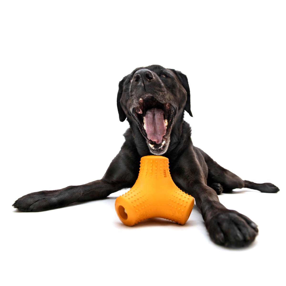 Natural Rubber Coral Teef Dog Toy - Chewable & Bouncy for Fetch & Treats