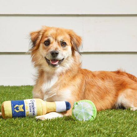Corgi Dog Toy with Squeaker & Crinkle - Beer & Lime Play Set