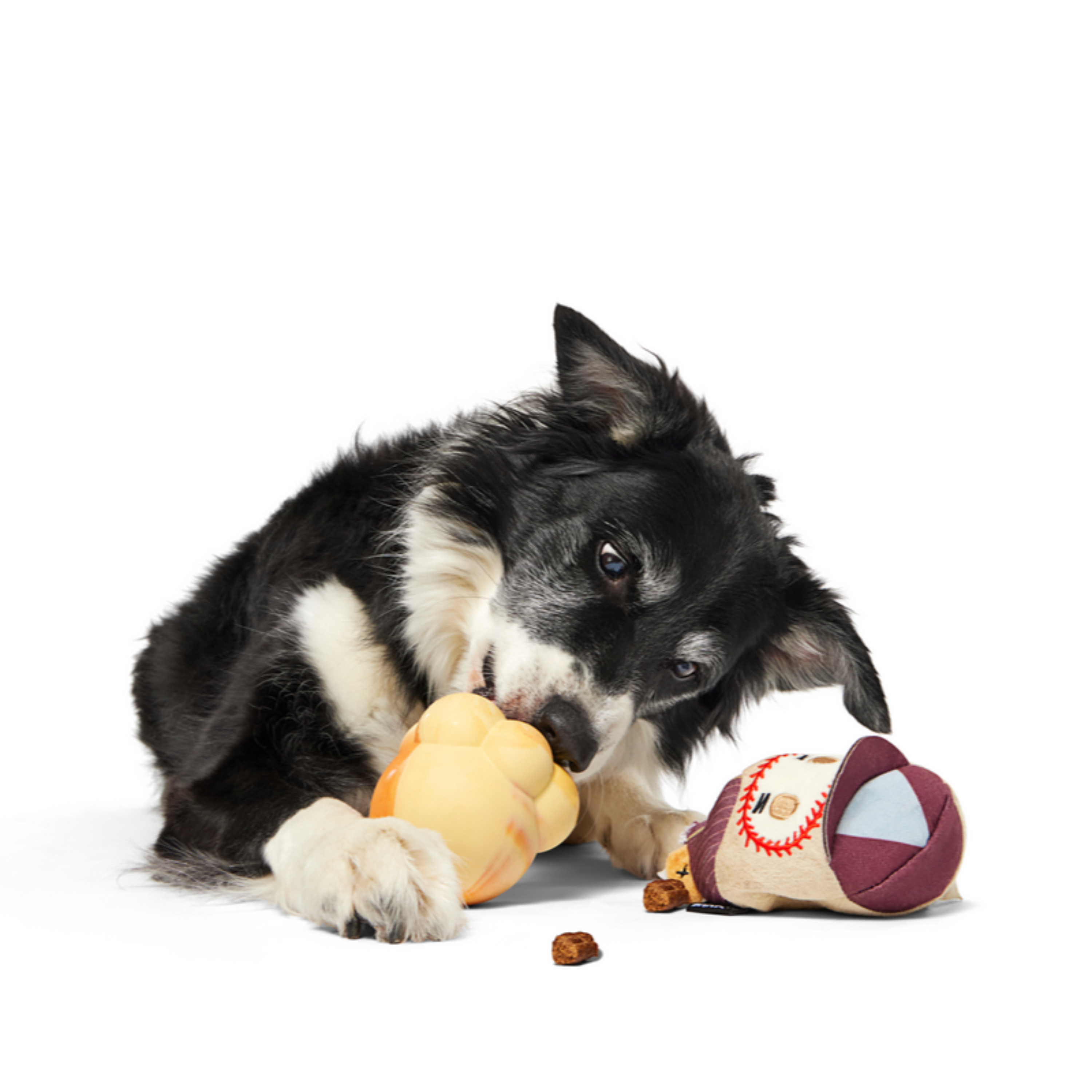 Crackin' Jake Dog Toy with Hidden Rubber Ball for Fetch & Shredders