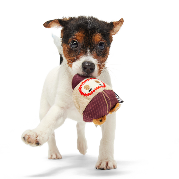 Crackin' Jake Dog Toy with Hidden Rubber Ball for Fetch & Shredders