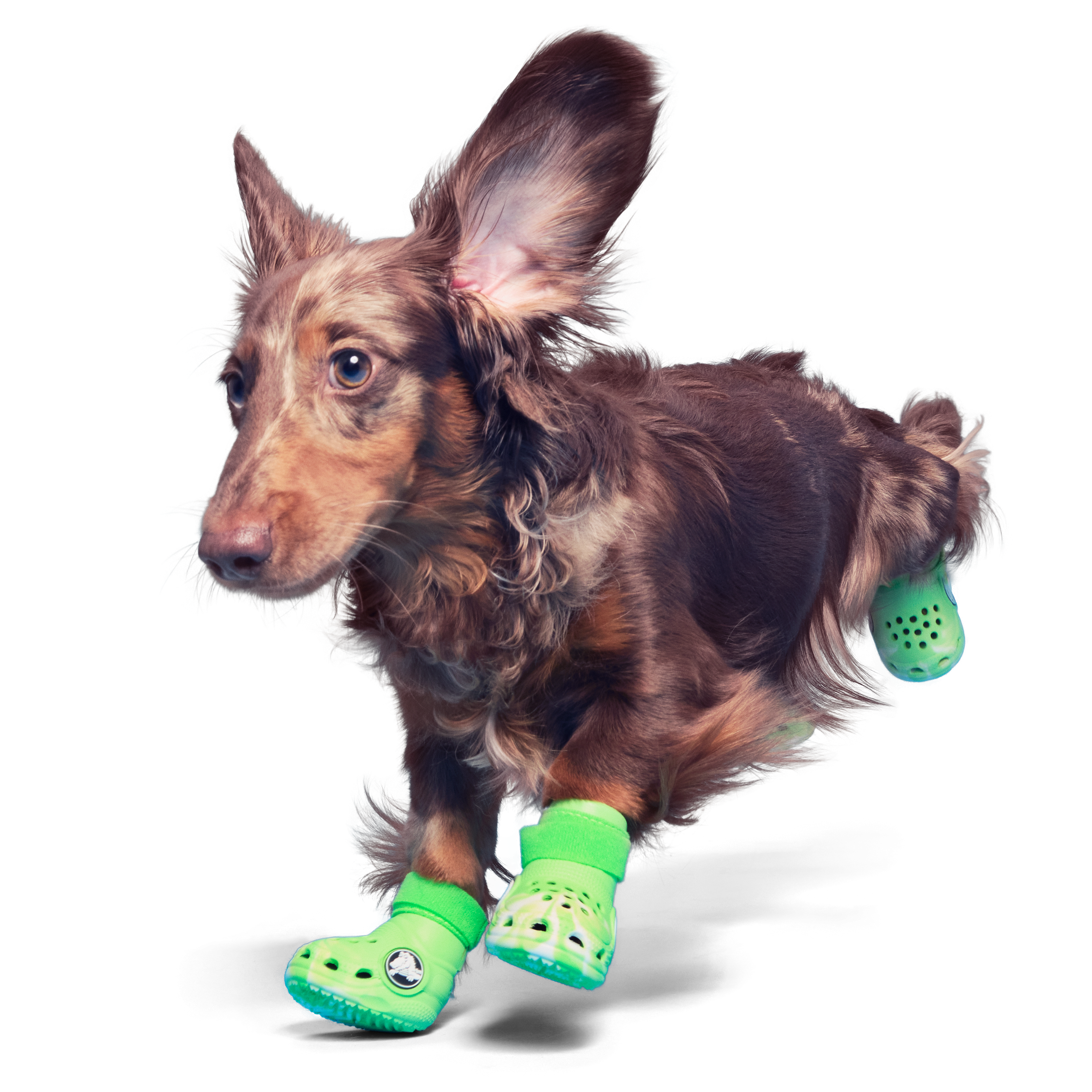 Crocs™ Dog Shoes – Breathable & Adjustable for Small to Large Dogs