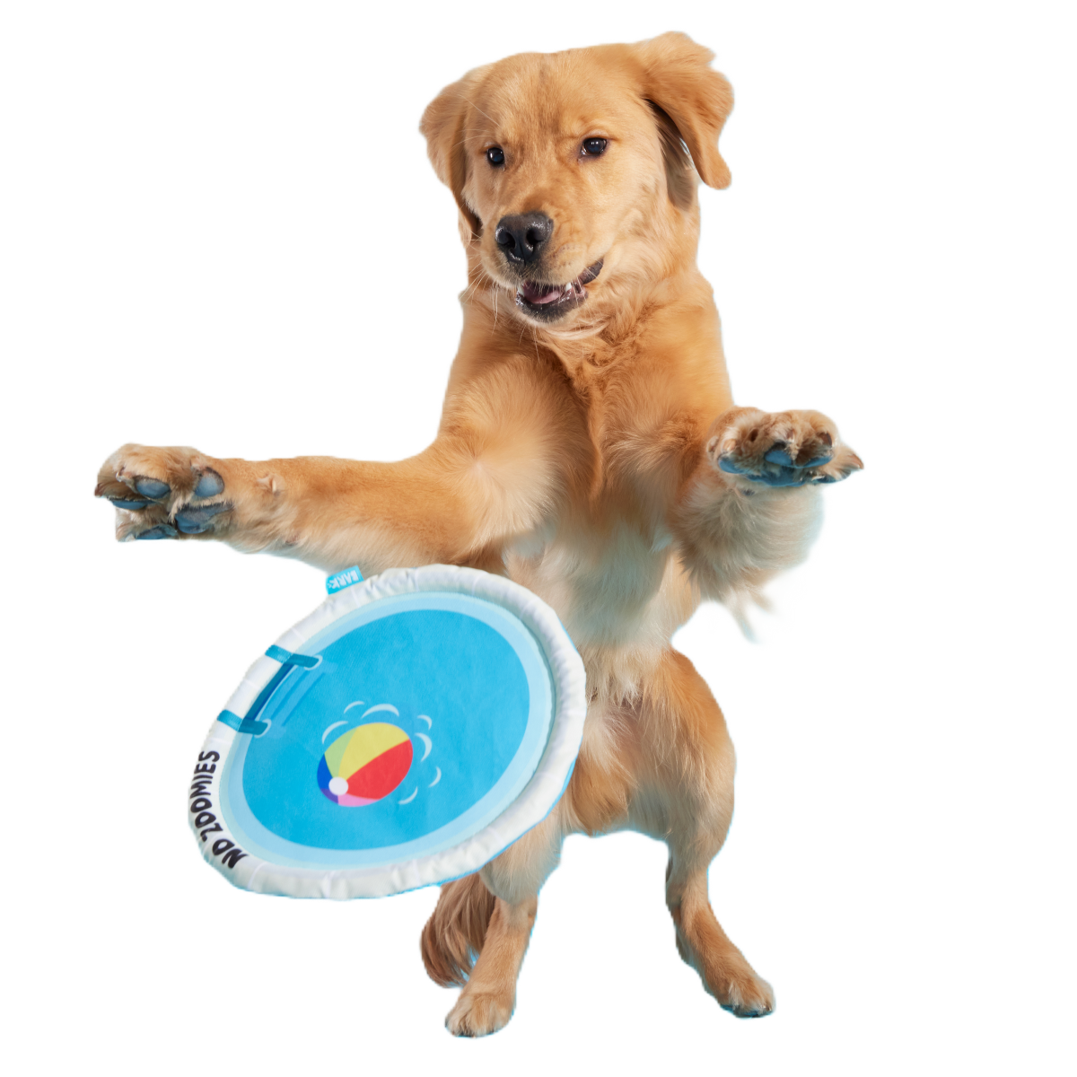 Crinkle Dog Disc Toy – Deep End Fetch Frisbee for Pets