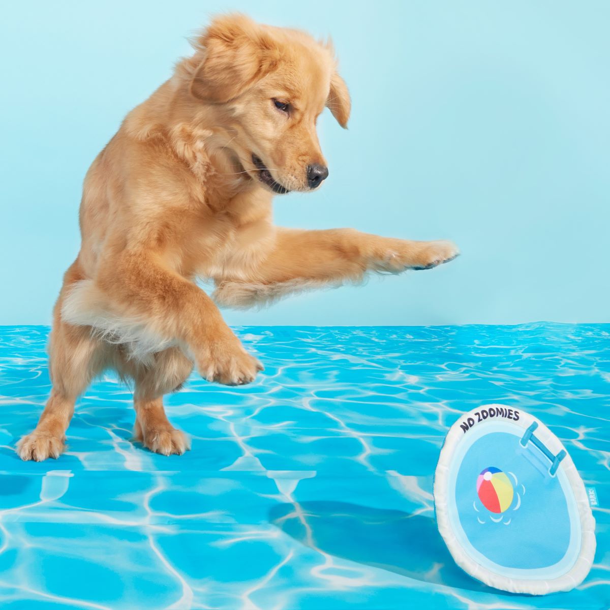 Crinkle Dog Disc Toy – Deep End Fetch Frisbee for Pets