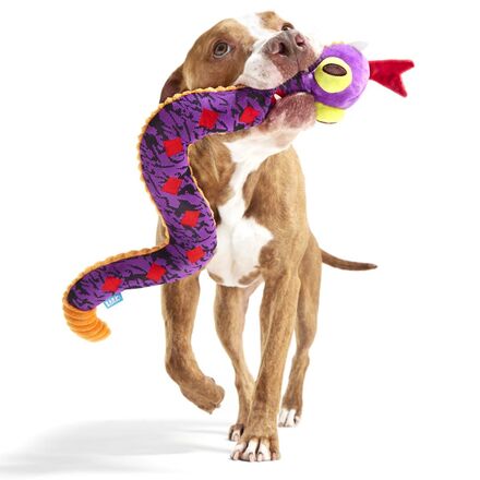 Diamondback Jack Snake Dog Toy with Squeaker & Crinkle