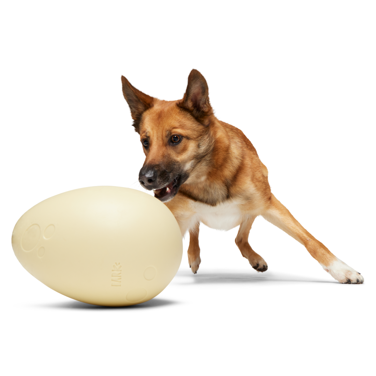 Dinosaur Egg Dog Toy - Large Rubber Fetch Ball for Outdoor Play