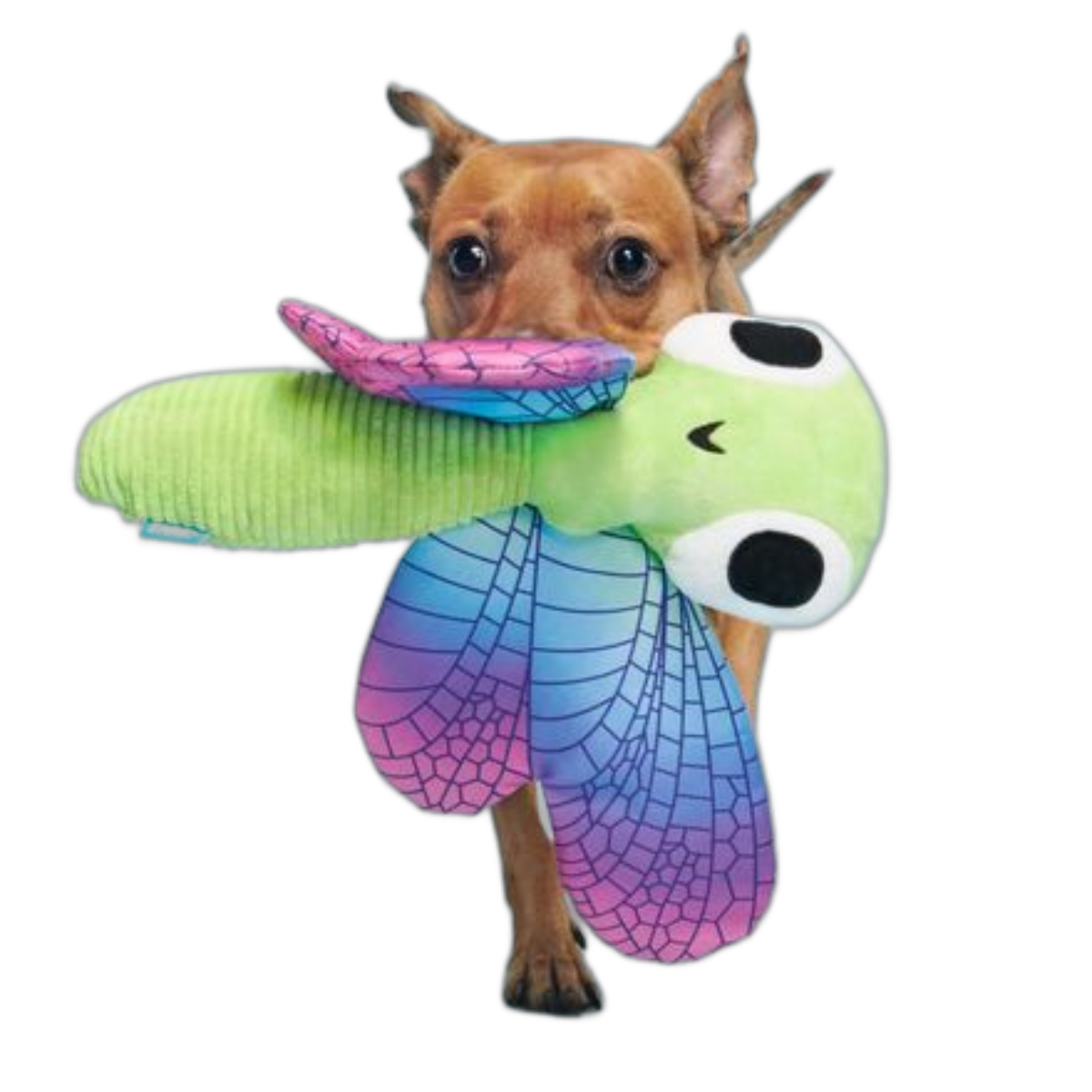 Dragonfly Dog Toy with Squeaker & Crinkle for Fetch Play