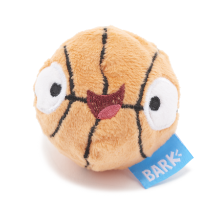Spiky Squeaky Basketball Dog Toy for Fetch & Play