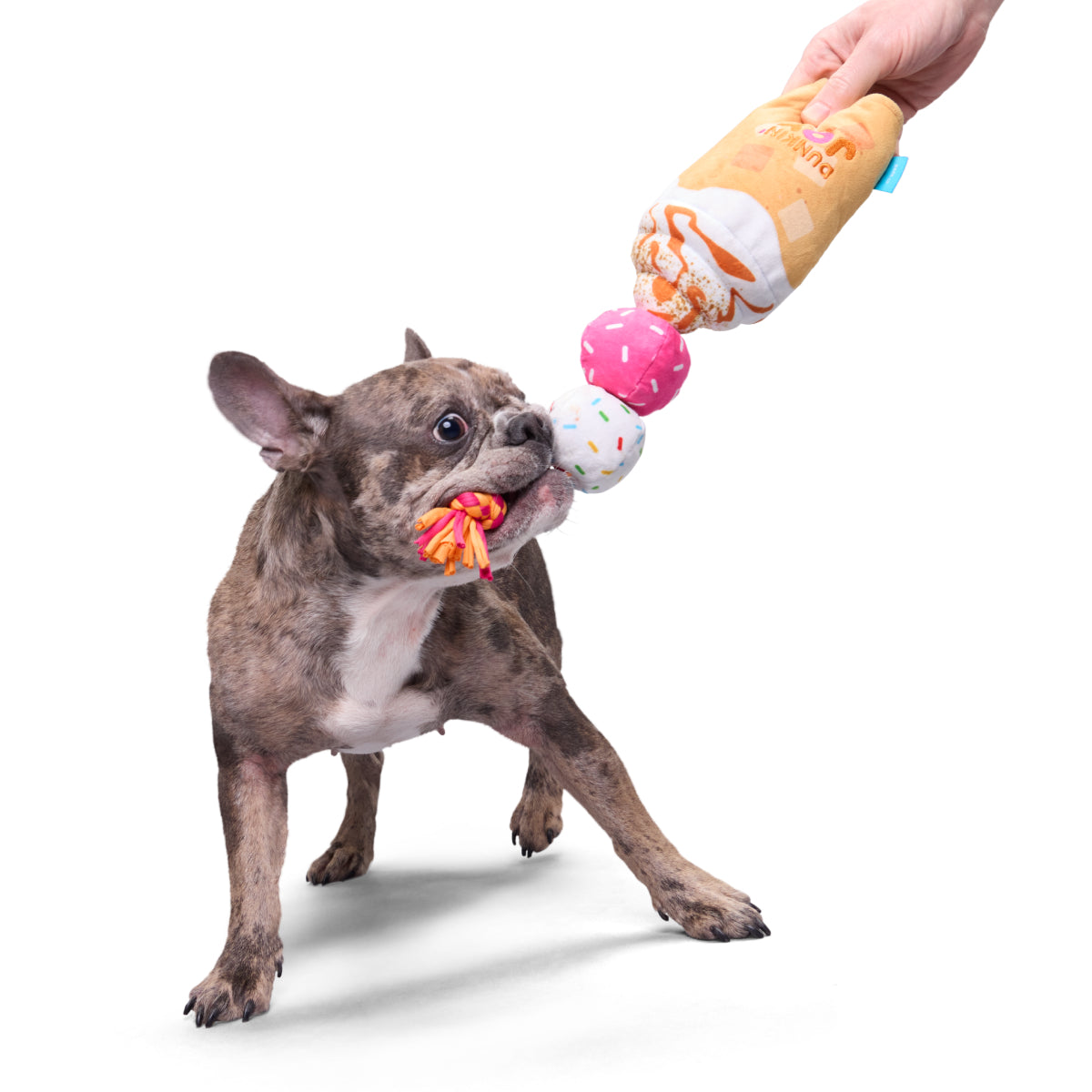 Dunkin' Pumpkin Latte Dog Toy with Squeaker & Crinkle