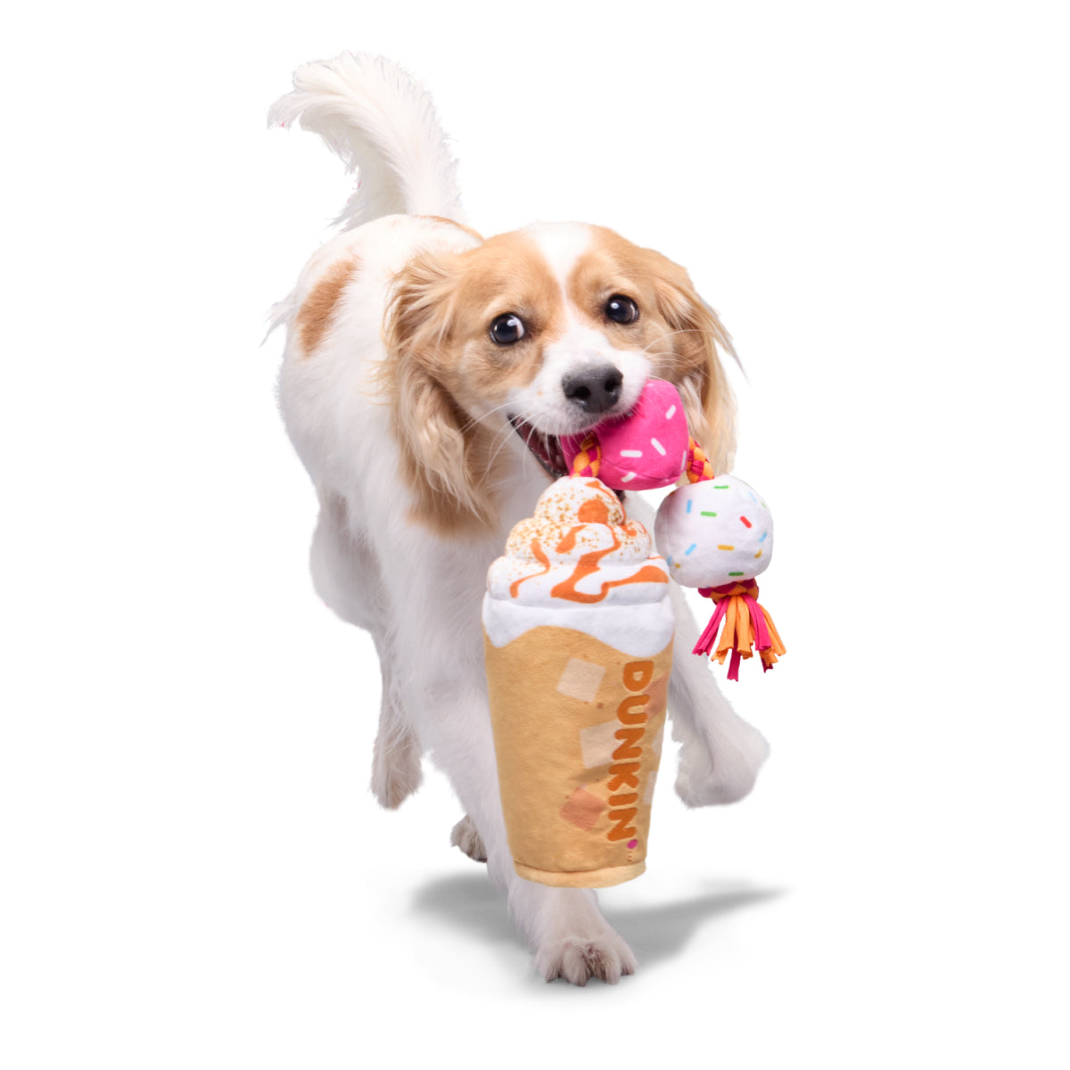 Dunkin' Pumpkin Latte Dog Toy with Squeaker & Crinkle