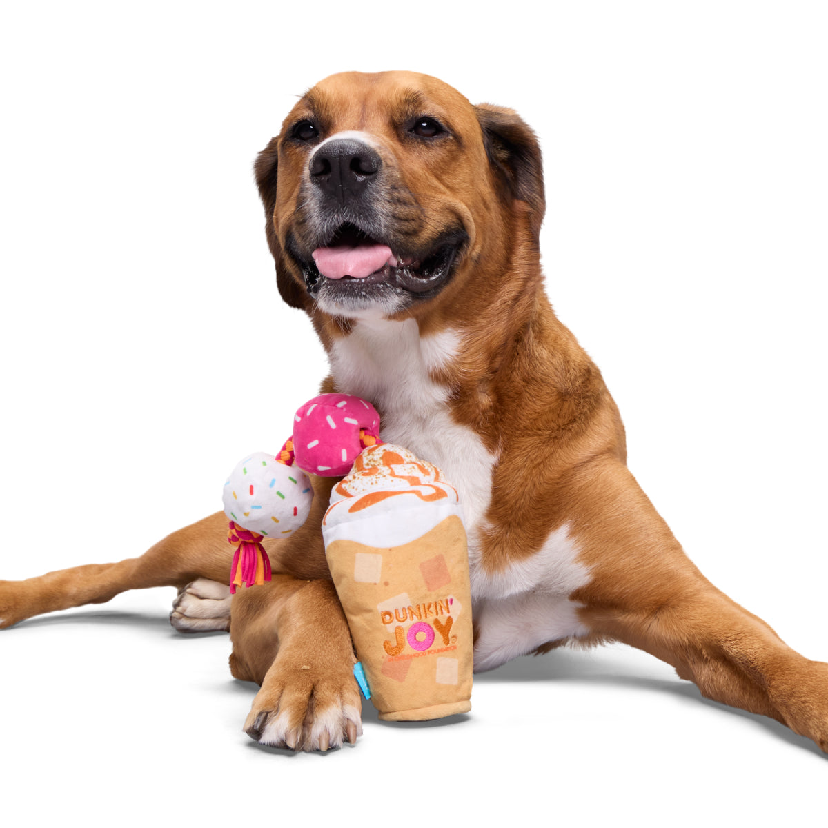 Dunkin' Pumpkin Latte Dog Toy with Squeaker & Crinkle