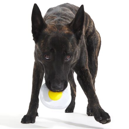 Cheese-Scented Nylon Egg Dog Toy for Super Chewers