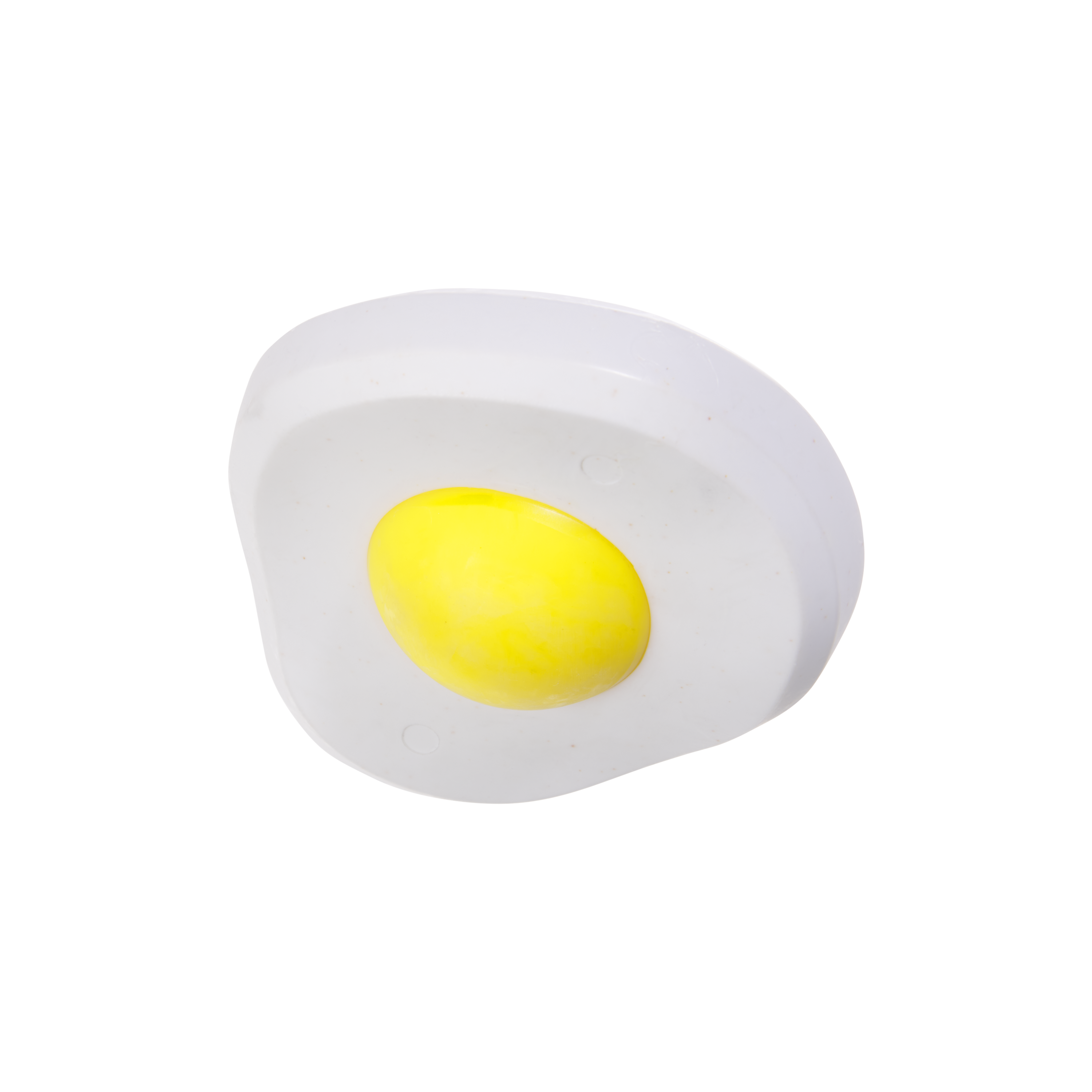 Cheese-Scented Nylon Egg Dog Toy for Super Chewers