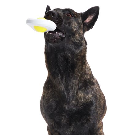 Cheese-Scented Nylon Egg Dog Toy for Super Chewers
