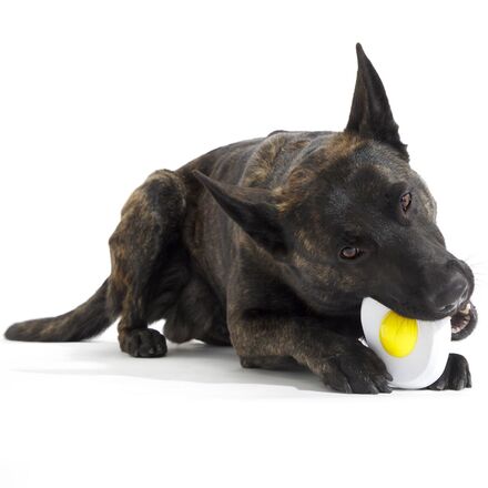 Cheese-Scented Nylon Egg Dog Toy for Super Chewers