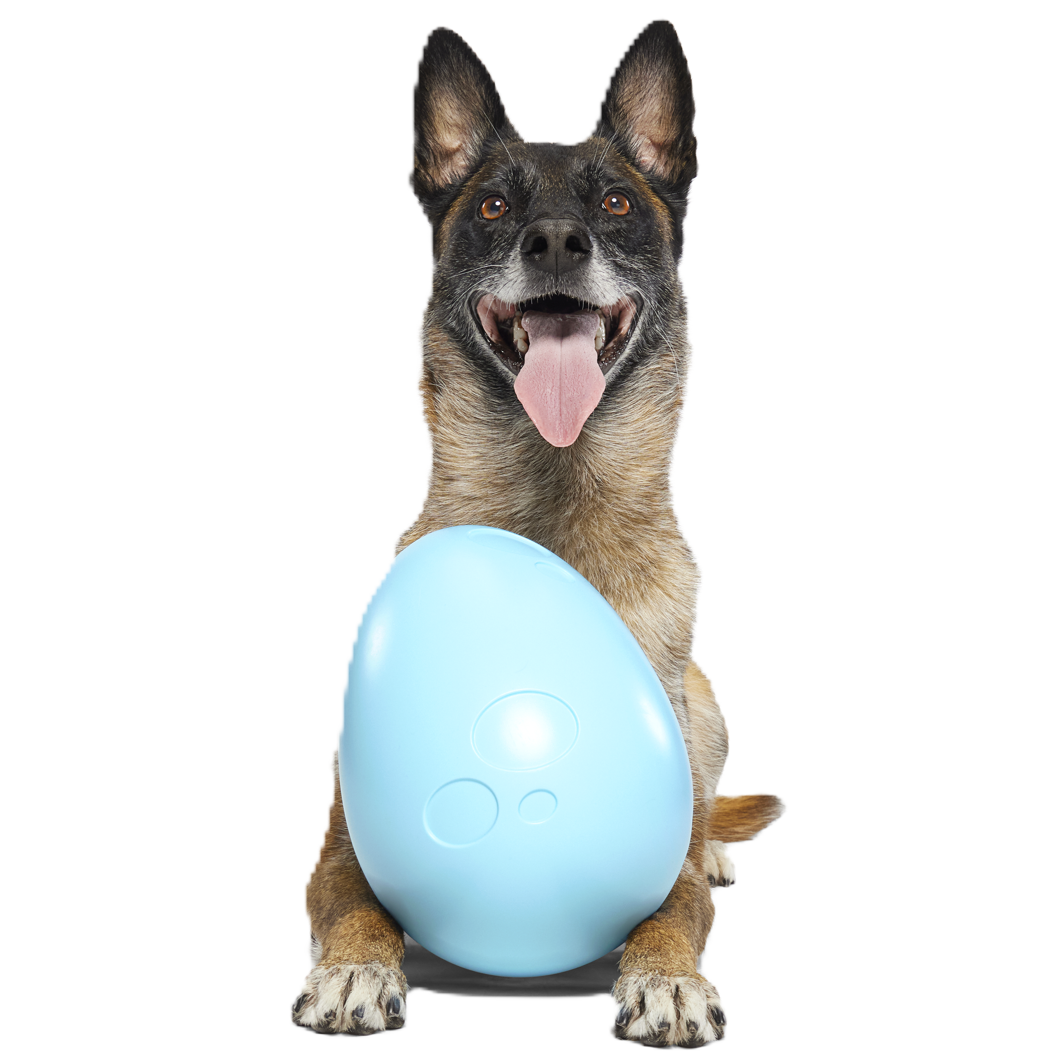 Extra Large Easter Egg Dog Toy - Wobbly Rubber Fetch Egg for Pets